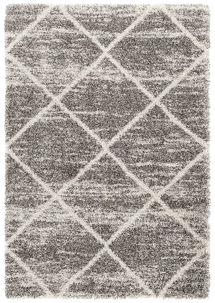 Amazon.com: SAFAVIEH Hudson Shag Collection Area Rug - 8' x